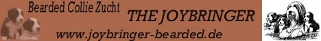 The Joybringer Bearded Collies